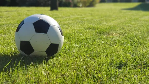 文旅融合加速，多地探索“演艺+旅游”新路径